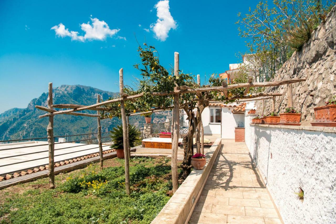 Maison Rosa Apartment *